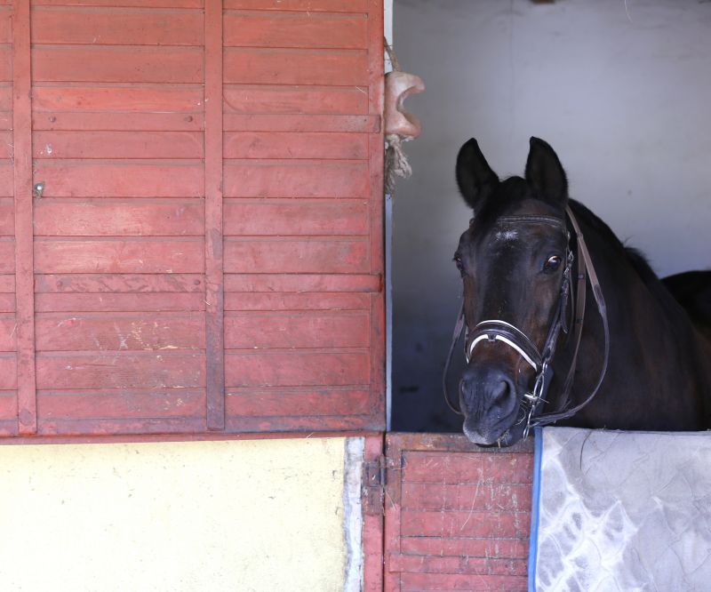 Local Barn Doors Repair in Marshfield, MA