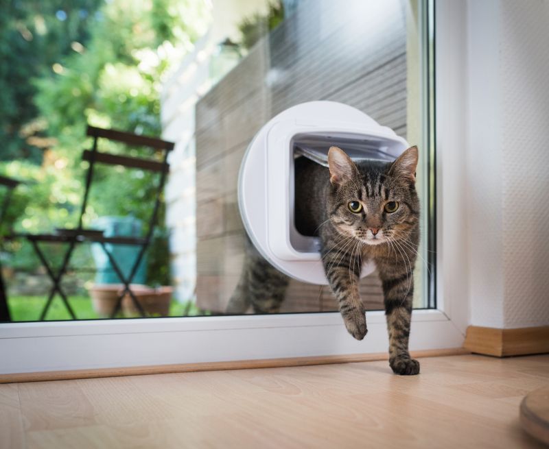 Local Cat Door Installation in Concord, NC