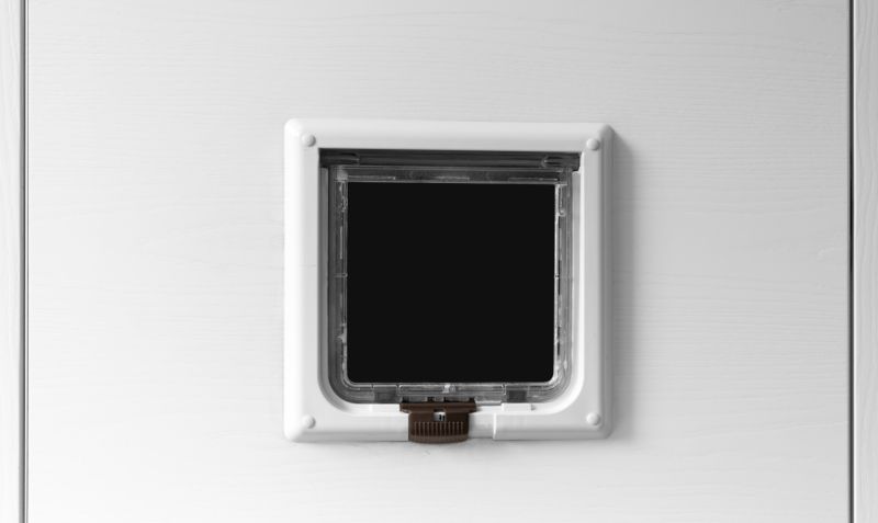 Local Cat Door Installation in Pontiac, MI