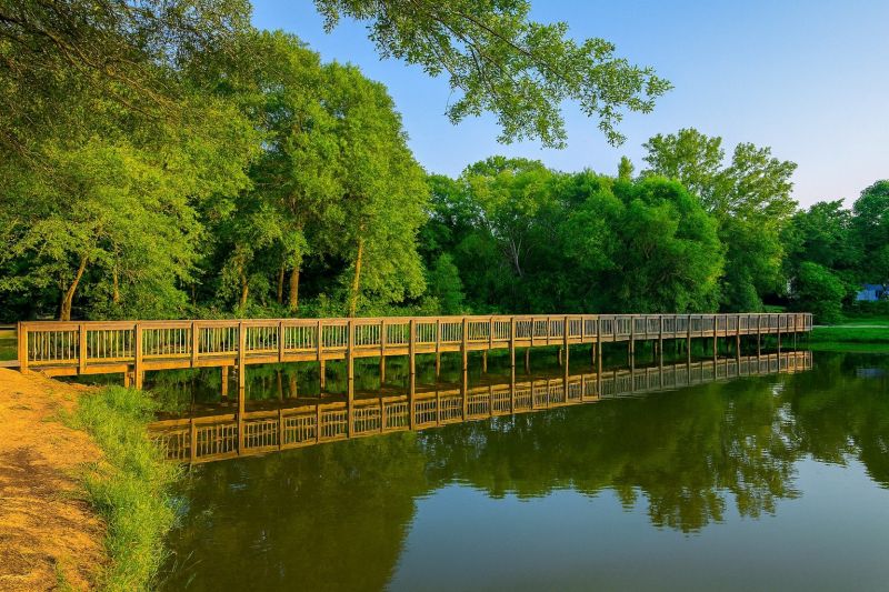 Local Cat Door Installation in Davidson, NC