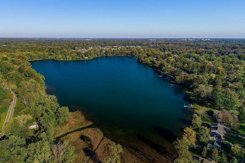 Local Dog Door Installation in Waterford, MI
