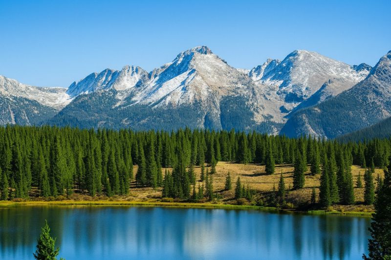 Local Exterior Door Repair in Lafayette, CO