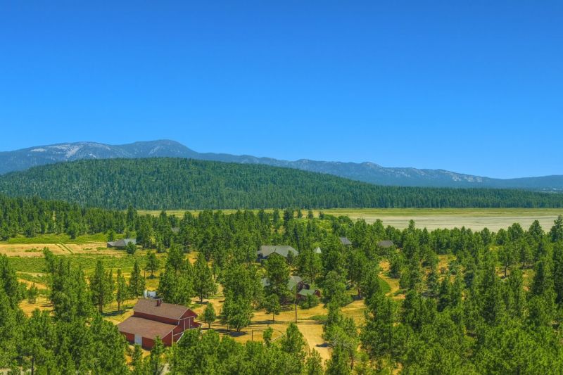 Local Pocket Door Repair in Big Bear City, CA