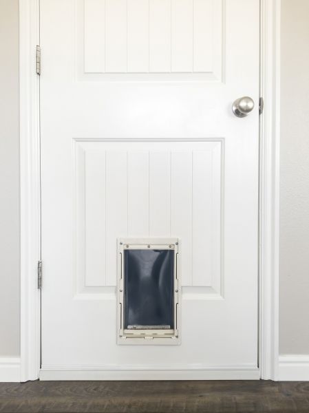 Dog Door Service
